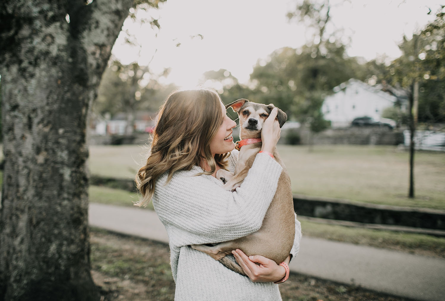 Rescue dog waiting for a forever home through Peoria's Pet Market adoption partners